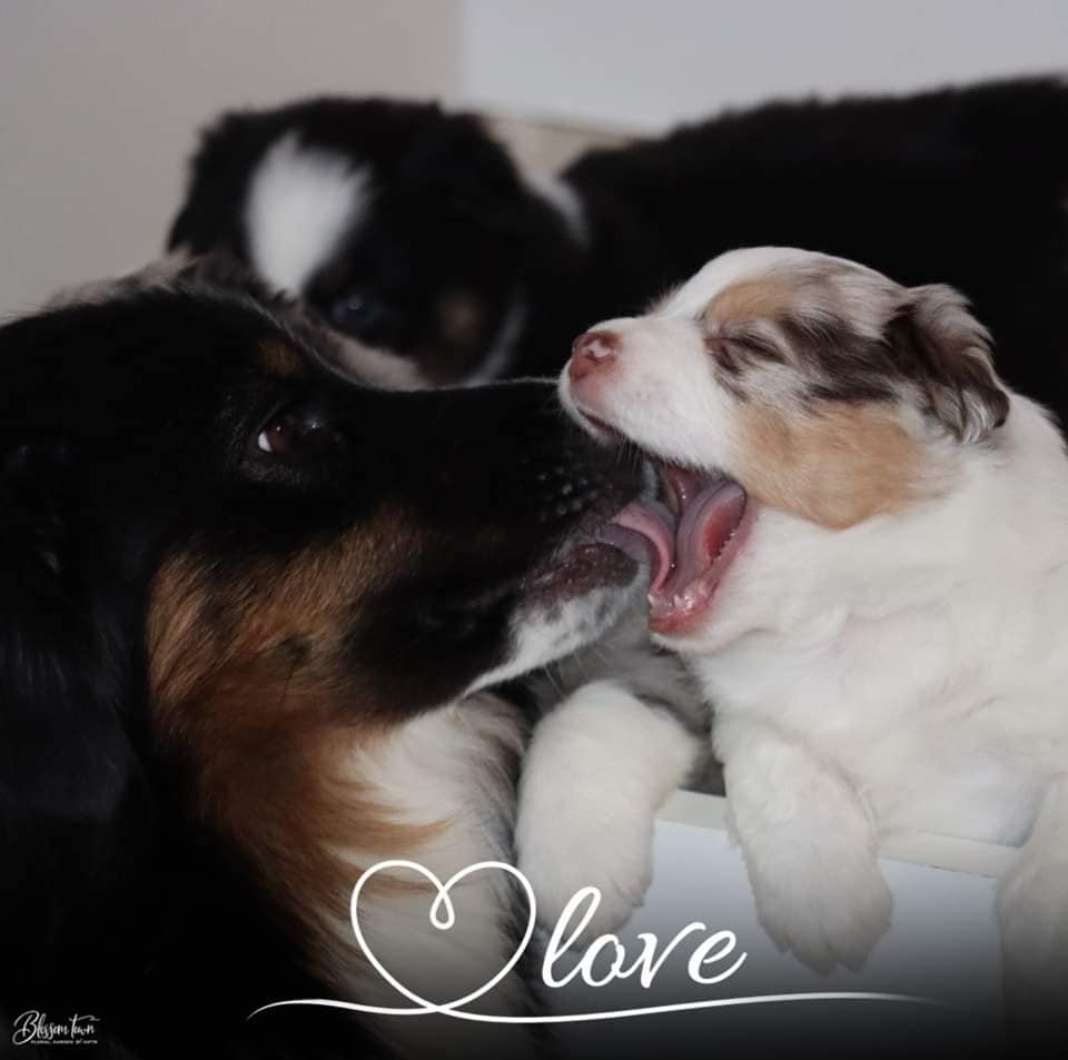 riser_bébés